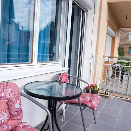 Koral Сокобаня