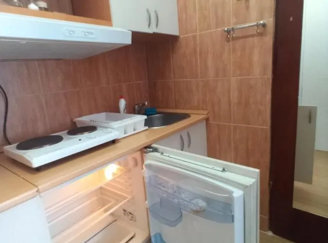 Koral * 소코 반자