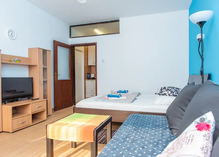 Koral * 소코 반자