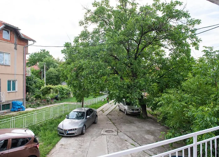 Koral * 소코 반자